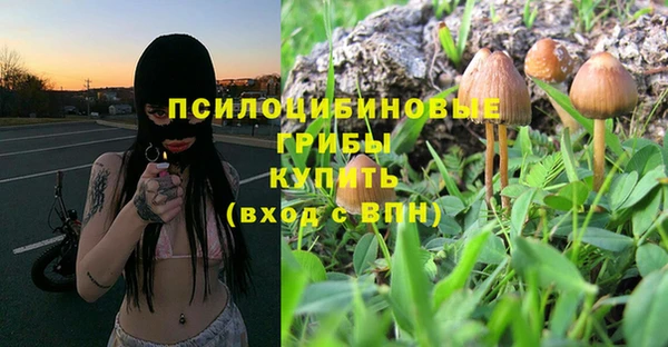 каннабис Арсеньев
