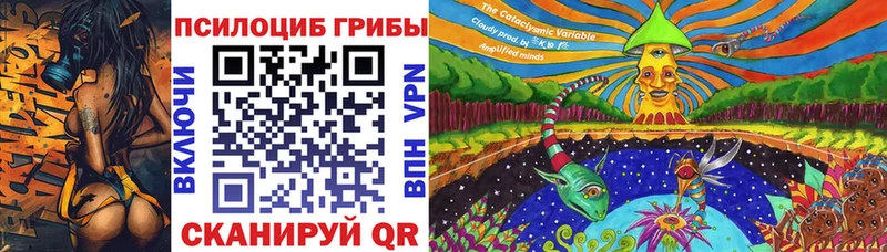 даркнет состав  Калязин  Псилоцибиновые грибы GOLDEN TEACHER 